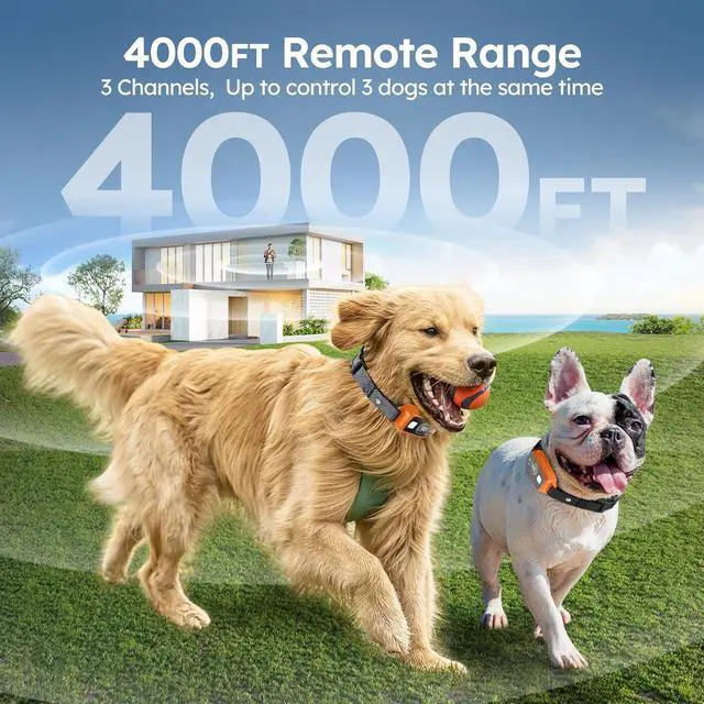 Alt view image 3 of 6 - Dog Shock Collar 2 Dogs,4000FT with Flash Light for Night Walks, Dog Training Collar with Remote Control, E Collar with Adjustable Pitch Beep,Vibration and Shock,Rechargeable Waterproof Shock Collar