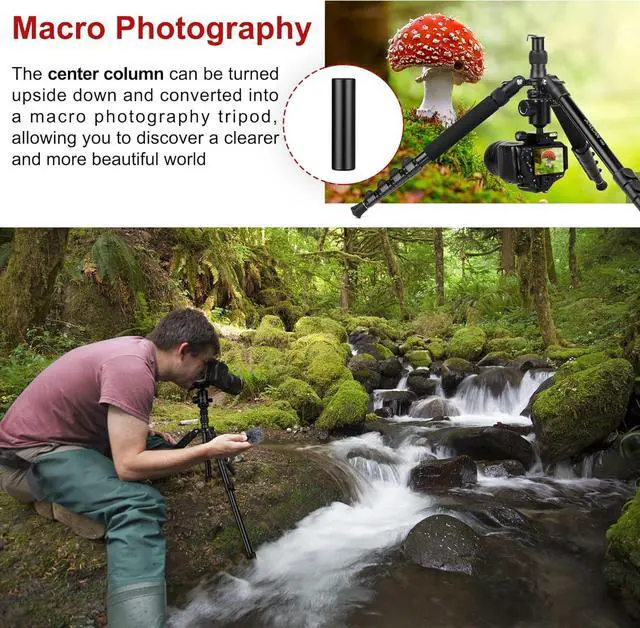 Alt view image 7 of 7 - Tripod for Camera, 81" Camera Tripod Stand, 83 inch DSLR Tripods & Monopods, Aluminum Heavy Duty Tripod for Binocular Spotting Scope Telescope Phone