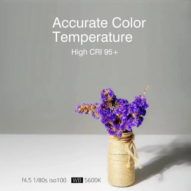 Alt view image 6 of 7 - Godox SL-60W SL60W CRI95+Qa>90 5600±300K Bowens Mount LED Video Light,433MHz Grouping System,Wirelessly Adjust Brightness,for Video Recording Wedding Outdoor Shooting,W/Reflector