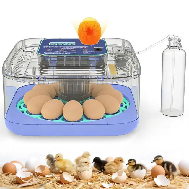 Main image of Incubators for Hatching Eggs, 12-24 Egg Digital Incubator with Smart Temperature & Humidity Control, Auto Egg Turner, Egg Candler, Poultry Hatcher for Chicken Eggs, Ducks, Goose, Quail Eggs