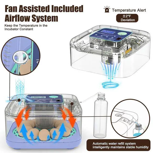 Alt view image 3 of 7 - Incubators for Hatching Eggs, 12-24 Egg Digital Incubator with Smart Temperature & Humidity Control, Auto Egg Turner, Egg Candler, Poultry Hatcher for Chicken Eggs, Ducks, Goose, Quail Eggs