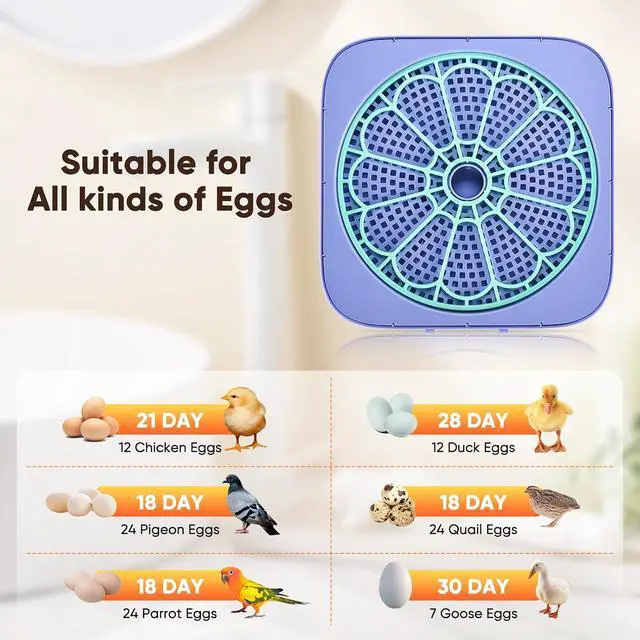 Alt view image 4 of 7 - Incubators for Hatching Eggs, 12-24 Egg Digital Incubator with Smart Temperature & Humidity Control, Auto Egg Turner, Egg Candler, Poultry Hatcher for Chicken Eggs, Ducks, Goose, Quail Eggs