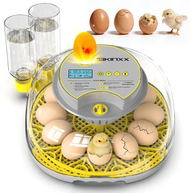 Main image of Incubator for Hatching Eggs-12 Egg Capacity, 2026 Newly Upgraded Automatic Egg Turner, Temperature & Humidity Control, 360° Viewing for Chicken, Duck and Quail Eggs (Grey)