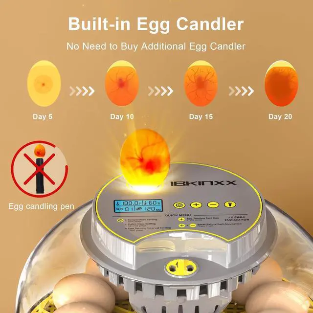 Alt view image 2 of 7 - Incubator for Hatching Eggs-12 Egg Capacity, 2026 Newly Upgraded Automatic Egg Turner, Temperature & Humidity Control, 360° Viewing for Chicken, Duck and Quail Eggs (Grey)