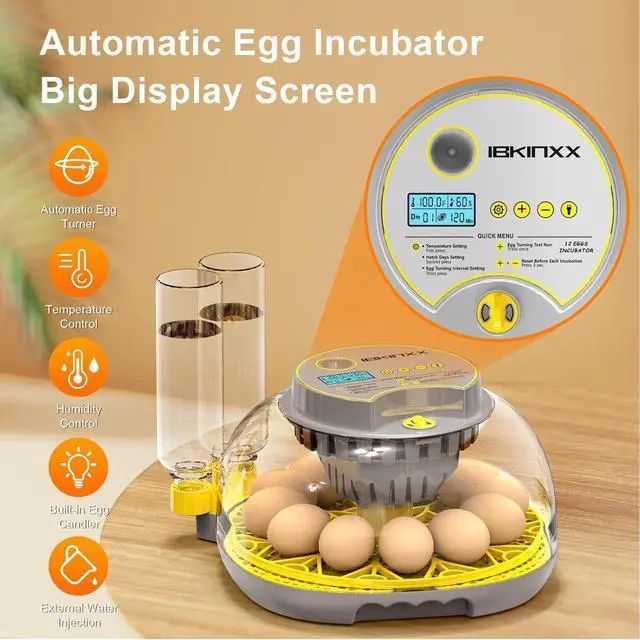 Alt view image 3 of 7 - Incubator for Hatching Eggs-12 Egg Capacity, 2026 Newly Upgraded Automatic Egg Turner, Temperature & Humidity Control, 360° Viewing for Chicken, Duck and Quail Eggs (Grey)