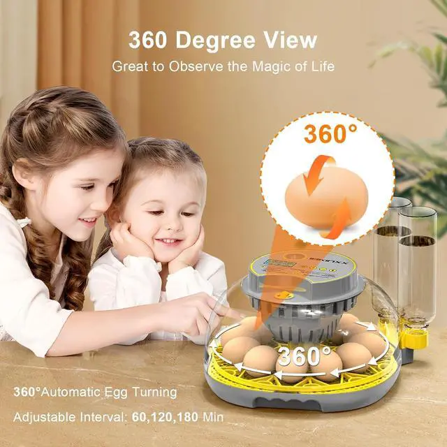 Alt view image 4 of 7 - Incubator for Hatching Eggs-12 Egg Capacity, 2026 Newly Upgraded Automatic Egg Turner, Temperature & Humidity Control, 360° Viewing for Chicken, Duck and Quail Eggs (Grey)