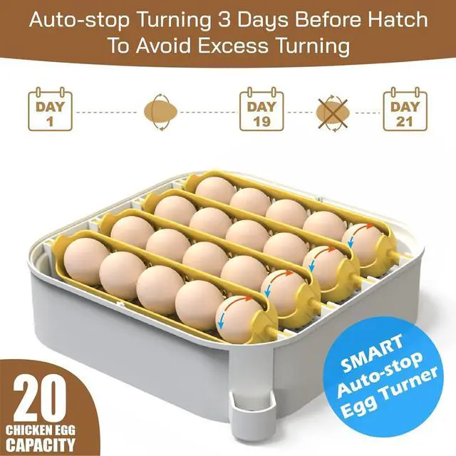 Alt view image 5 of 6 - 20 Egg Incubator with Humidity Display, Egg Candler, Automatic Egg Turner, for Hatching Chickens