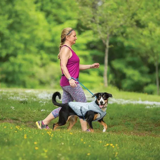 Alt view image 2 of 2 - Dog Core Cooling Vest, Grey, Large | Summer Cooling Jacket, Evaporative Cooling Coat, Harness-Compatible, Reflective Accents