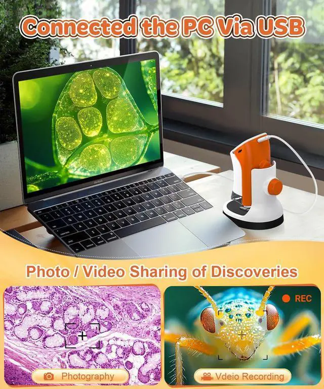 Alt view image 6 of 7 - Handheld Microscope for Kids 8-12: 1000x Portable Digital Microscope with Screen 4k 2.0" LCD - Miniscope Educational Science Kits Toy Gift with 15pcs Slides 32G Memory Card
