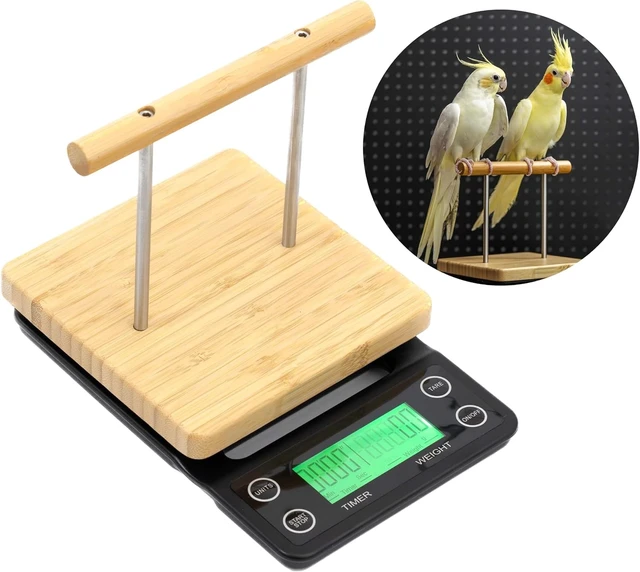 Alt view image 2 of 7 - Bird Scale with Perch for Small & Medium Birds