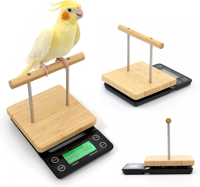 Alt view image 4 of 7 - Bird Scale with Perch for Small & Medium Birds