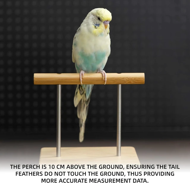 Alt view image 6 of 7 - Bird Scale with Perch for Small & Medium Birds
