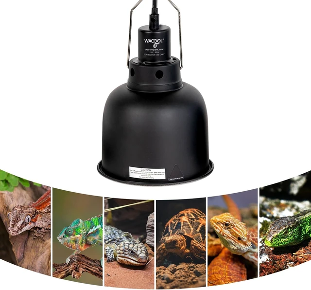 Alt view image 4 of 7 - Reptile Heat Lamp Fixture with Dimming Thermostat, 5.5 Inch Deep Dome