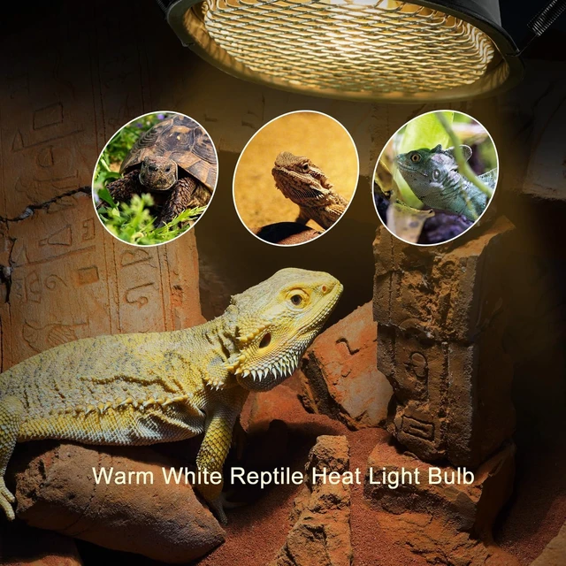 Alt view image 3 of 7 - G9 Reptile Heat Lamp Fixture with Safety Mesh & 50W Warm White UVA Bulb for Bearded Dragon, Gecko, Turtle & Lizard