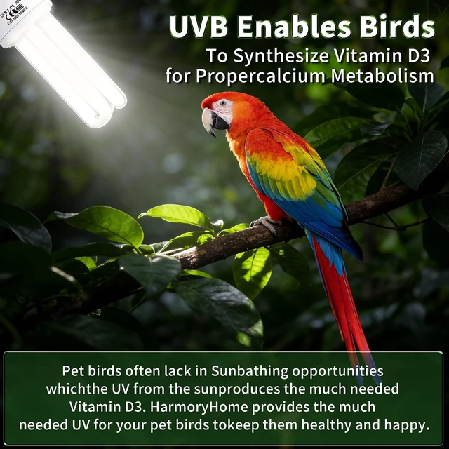 Alt view image 2 of 7 - Bird Cage UVB Light with 360° Rotating Clip Lamp & Two 2.4% UVA/UVB Bulbs