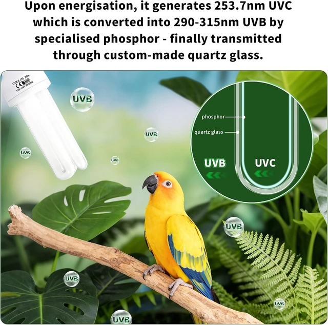 Alt view image 4 of 7 - Bird Cage UVB Light with 360° Rotating Clip Lamp & Two 2.4% UVA/UVB Bulbs