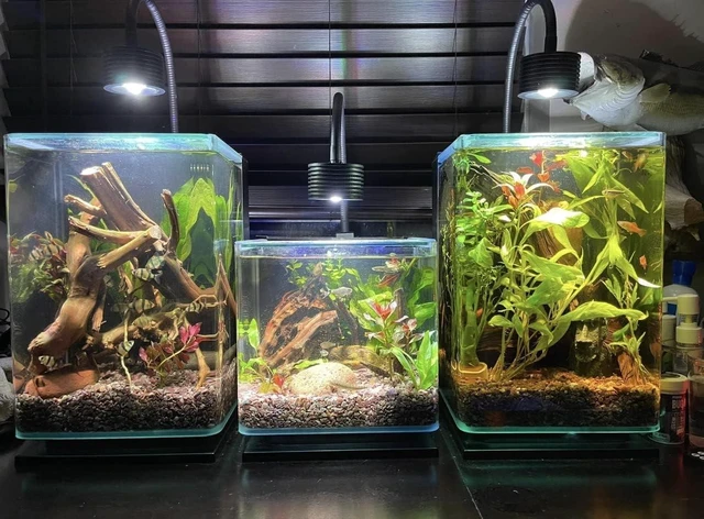 Alt view image 4 of 4 - LED Planted Aquarium Light, 4-Channel Remote Control, 6500K with Gooseneck (A20 Freshwater)
