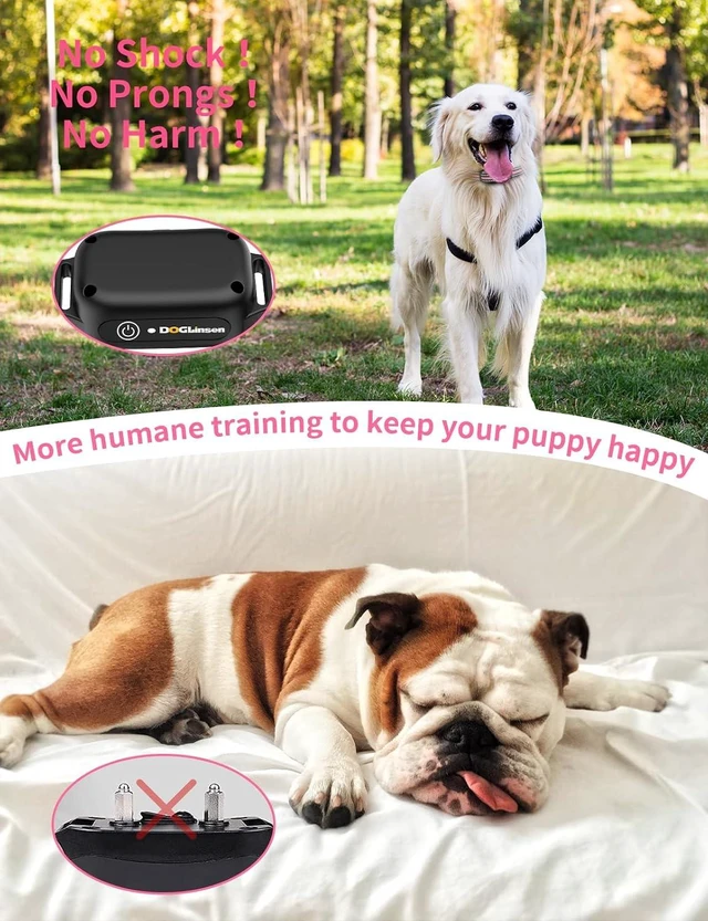 Alt view image 2 of 7 - No-Shock Dog Training Collar for 2 Dogs