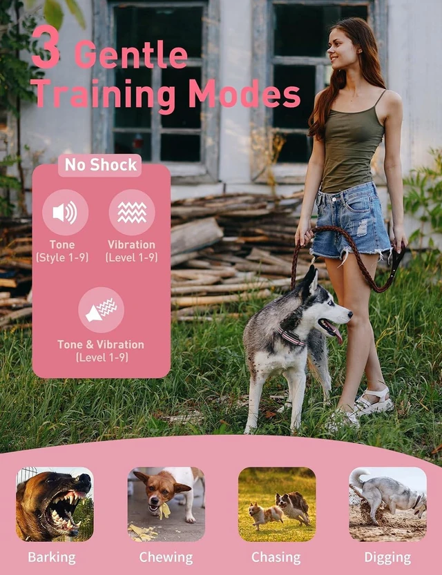 Alt view image 3 of 7 - No-Shock Dog Training Collar for 2 Dogs