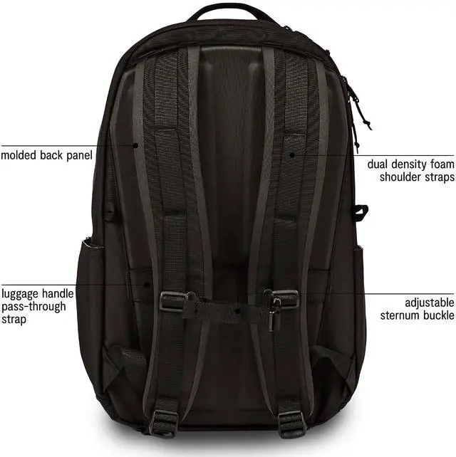 Alt view image 4 of 5 - Baboon to the Moon City Backpack - in Black, Versatile, Water-Repellent, 16" Laptop-Friendly Backpack for Men and Women