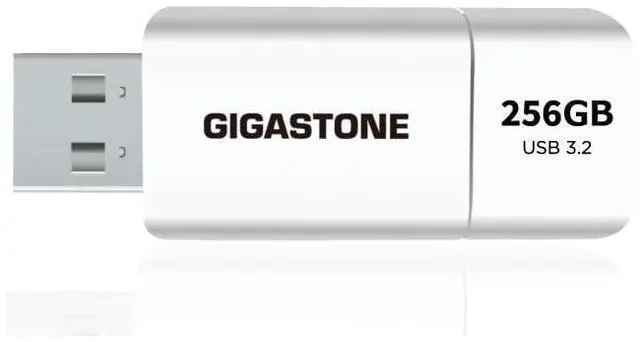 Main image of GIGASTONE 256GB Flash Drive, Z60 USB 3.2 Gen 1, 120MB/s Ultra Fast, Retractable Capless Slider Design, Data Storage, Backup for PC/Mac/TV/Car Audio, USB 2.0/3.0/3.1 Compatible