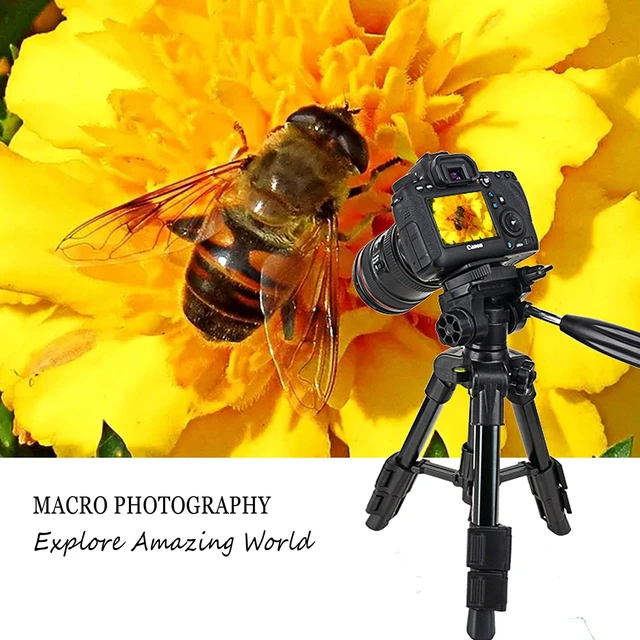 Alt view image 2 of 5 - Mini Tripod for Camera,Zomei Travel Table Tripod with 3-Way Pan/Tilt Head 1/4 inches Quick Release Plate and Bag for DSLR Camera Tripod Carrying Bag