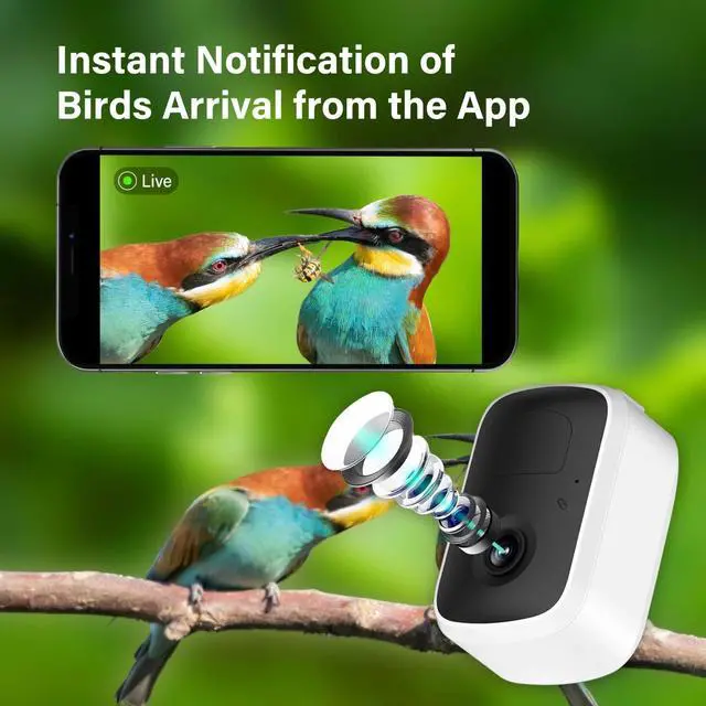 Alt view image 3 of 6 - Smart Bird Feeder with Camera Solar Powered with Camera HD 1080P Orange