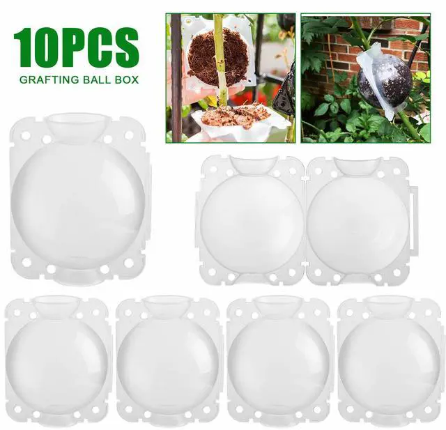Main image of 10PCS 5CM Plant Root Growing Box Reusable Air Layering Pods for Fast Propagation