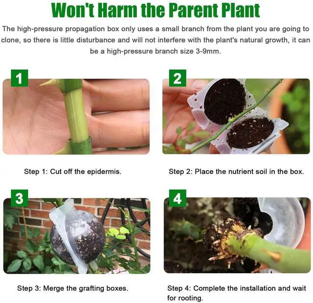 Alt view image 7 of 7 - 10PCS 5CM Plant Root Growing Box Reusable Air Layering Pods for Fast Propagation