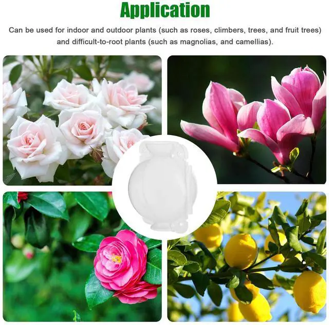 Alt view image 6 of 7 - 10PCS 5CM Plant Root Growing Box Reusable Air Layering Pods for Fast Propagation