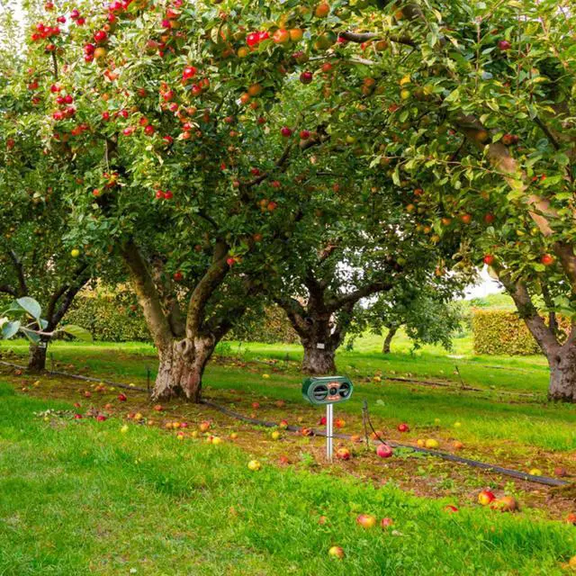 Alt view image 5 of 7 - Solar Ultrasonic Animal Repeller Sensor Deer Raccoon Squirrel Garden Repellent