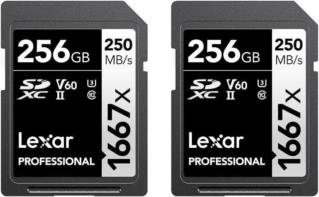 Main image of Lexar 256GB (2-Pack) Professional 1667x SDXC Memory Cards, UHS-II, C10, U3, V60, Full-HD & 4K Video, Up To 250MB/s Read, for Professional Photographer, Videographer, Enthusiast (LSD1667256G-B2NNU)