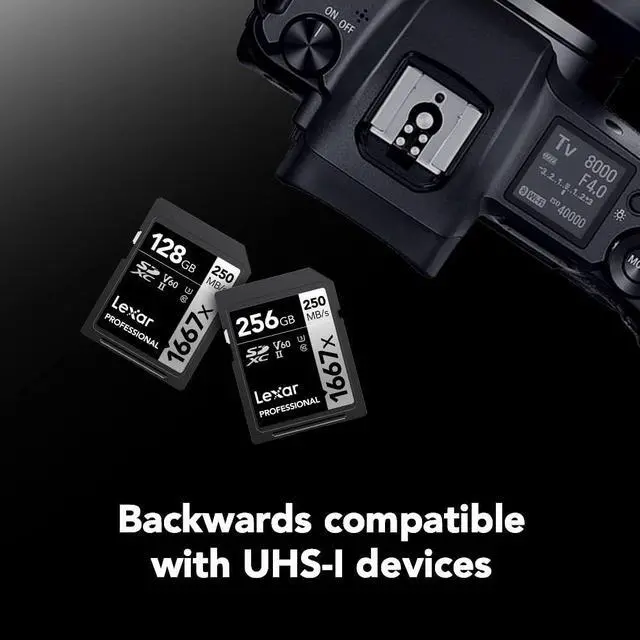 Alt view image 5 of 5 - Lexar 256GB (2-Pack) Professional 1667x SDXC Memory Cards, UHS-II, C10, U3, V60, Full-HD & 4K Video, Up To 250MB/s Read, for Professional Photographer, Videographer, Enthusiast (LSD1667256G-B2NNU)