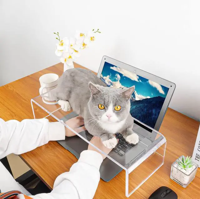 Alt view image 2 of 5 - Anti-Cat Keyboard Cover, Laptop Keyboard Covers cat Proof, Clear Keyboard Protector, PC Desk Stand for Keyboard Storage Acrylic Monitor Stand Riser and Laptop Stand Riser (20"/7.1"/4.8")