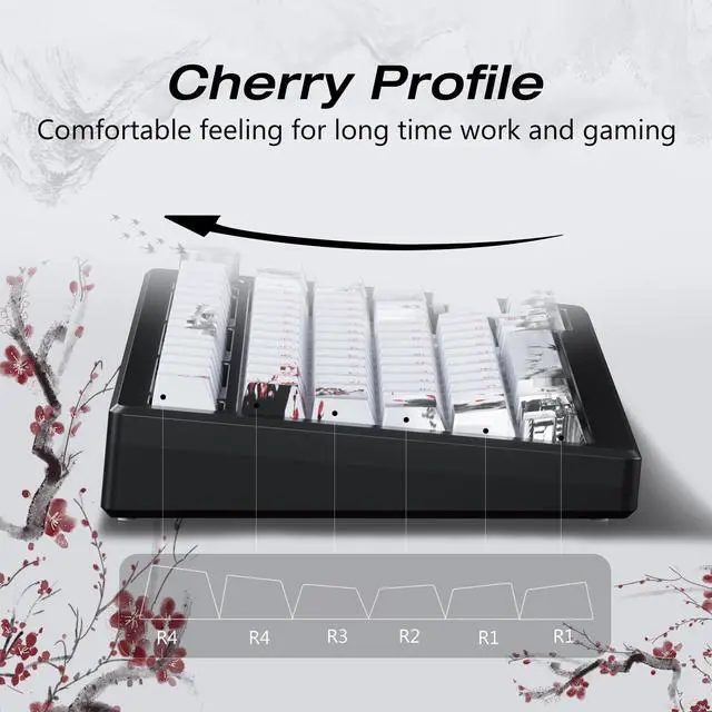 Alt view image 5 of 5 - XVX PBT Japanese Keycaps, Shine Through White Keycap, Plum Blossom Custom Keycap Set 127 Keys, Doubleshot Key caps, Cherry Profile Keyboard Keycaps for Cherry Gateron MX Switches Mechanical Keyboards