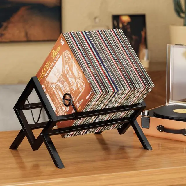 Main image of EKNITEY Vinyl Record Storage Holder - Metal Record Stand 80-100 LP Storage Vinyl Organizer for Albums Audio Easy to Assemble Black
