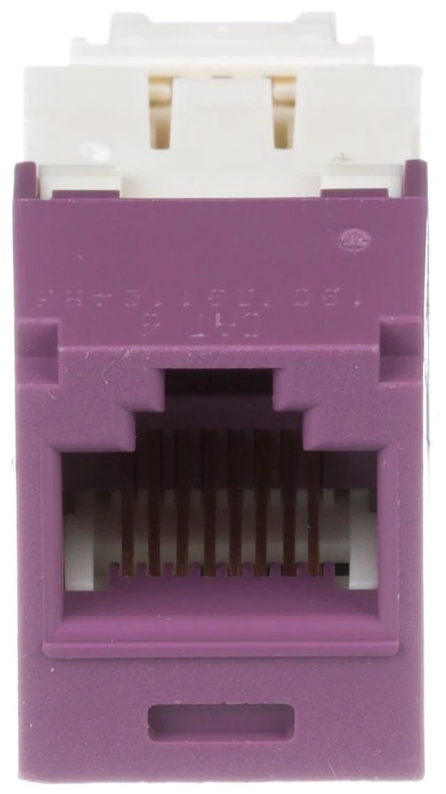 Alt view image 2 of 7 - Panduit CJ688TGVL-24 Mini-Com TX6 Plus Cat6 RJ45 Ethernet Jack Module, UTP Unshielded, Violet, 24-Pack