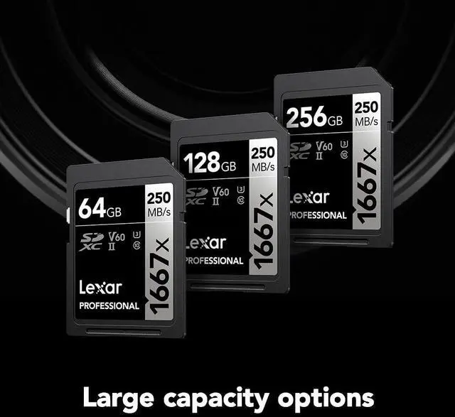 Alt view image 7 of 13 - Lexar Professional 1667x 256GB (2-Pack) SDXC UHS-II Cards, Up to 250MB/s Read, for Professional Photographer, Videographer, Enthusiast (LSD1667256G-B2NNU)