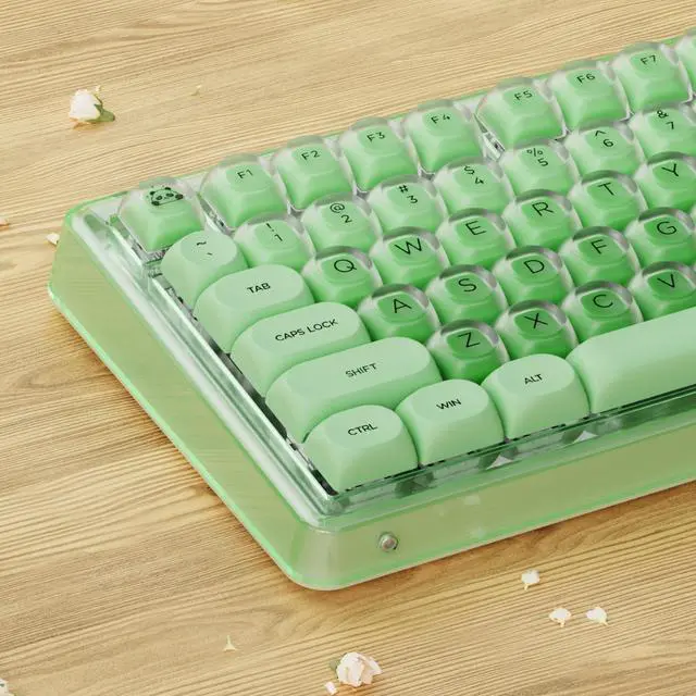 Main image of SEUNKWANG EWEADN Foundation PBT Keycaps, Jelly MOA Profile Keycap, 132 Keys Cute Custom Keycaps for Mechanical Keyboard with Cherry/Gateron MX Switches-Green