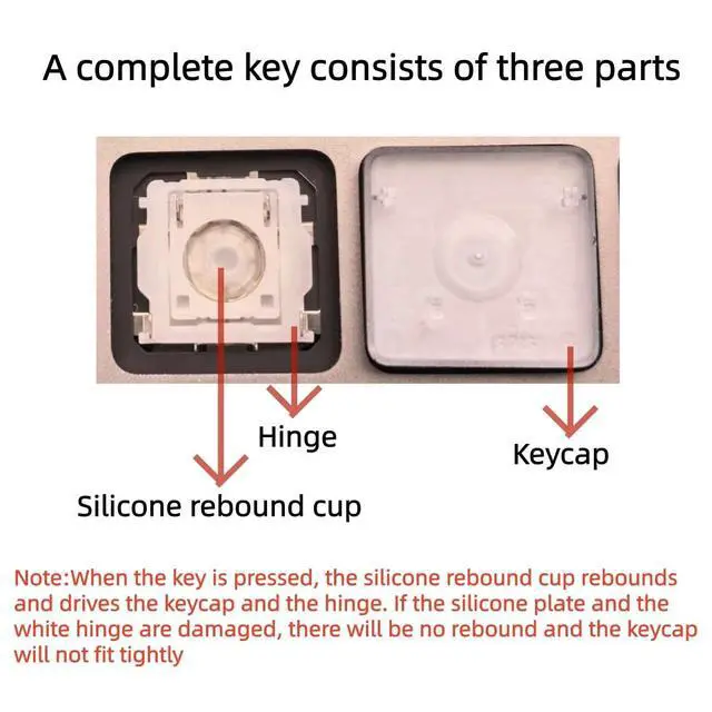 Alt view image 5 of 5 - WATIPUNO Replacement Keycap Keys,Full Set of US Version Keycaps Key Cap Fits for iPad Pro/Air 11'' (M4) Model A2836 A2837 A3006 A2975,M3 A3270,A16 A3354 Magic Keyboard 2024-2025 Year (White)