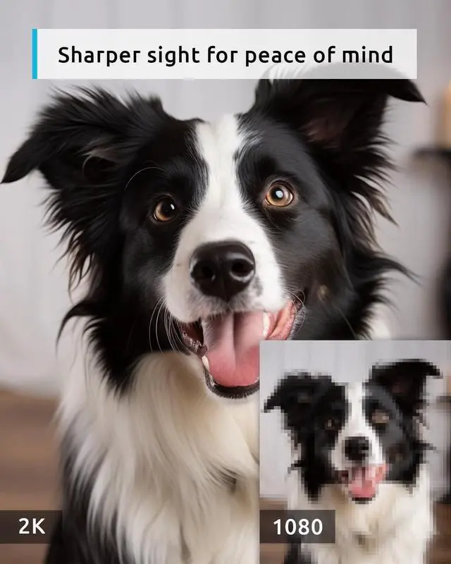 Alt view image 2 of 5 - blurams 5G Pet Camera 2K, 360 PTZ Dog Camera with Phone App, Indoor Cameras for Home Security w/Dual-Band WiFi6, 2-Way Audio, Motion Tracking, Color/IR Night Vision, Siren, Cloud&SD
