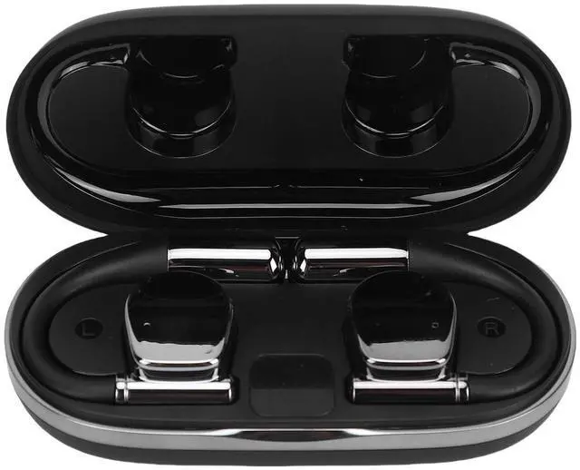 Main image of RASTKY Language Translator Earbuds Comprehensive Translation Wireless Real Time Earbuds for Global Travelers Business Professionals, 2 Pairs (Black)