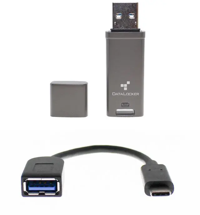 Main image of DataLocker DL GO Encrypted USB Flash Drive ^^ USB 3.2 Gen 1 ^^ AES 256-bit XTS ^^ FIPS 197 ^^ IP68 Rugged ^^ TAA Compliant with USB-C Adapter - 4GB