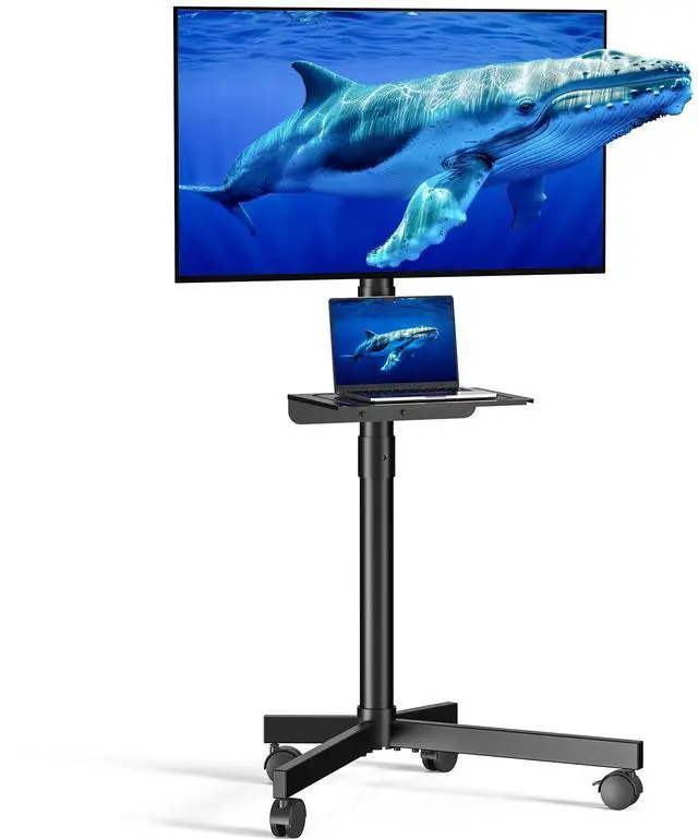 Main image of Mobile TV Cart for 23-60 Inch LCD LED OLED Flat Curved Screen TVs - Height Adjustable Rolling Floor Stand with Shelf and Locking Wheels - Up to 88lbs, Max VESA 400x400mm, Black