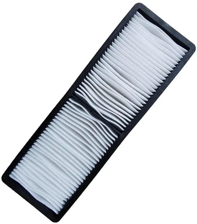 Main image of RUOYINKE Replacement ELPAF30/ V13H134A30 Air Filter for EPSON EB-G7905U EB-D6155W EB-D6250 EB-G7100 EB-G7200W EB-G7400U EB-G7805 EB-G7900U Projectors
