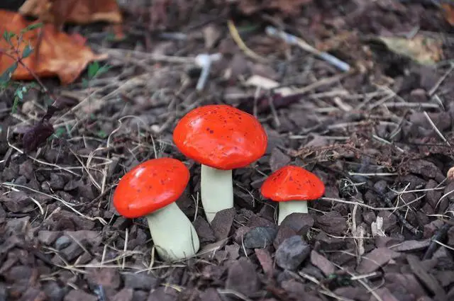 Alt view image 2 of 12 - G & F MiniGardenn 10025 Fairy Garden Miniature Mushrooms (Set of 3), Orange, 0.5-1.25"High