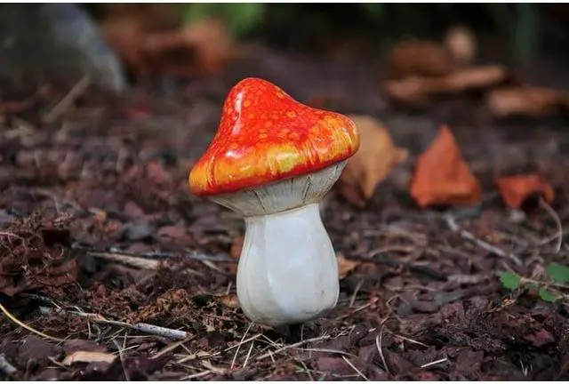 Alt view image 4 of 5 - G & F 10042 MiniGardenn Fairy Garden Miniature Premium Collection Life Size Mushroom Statue (Set of 2), Orange