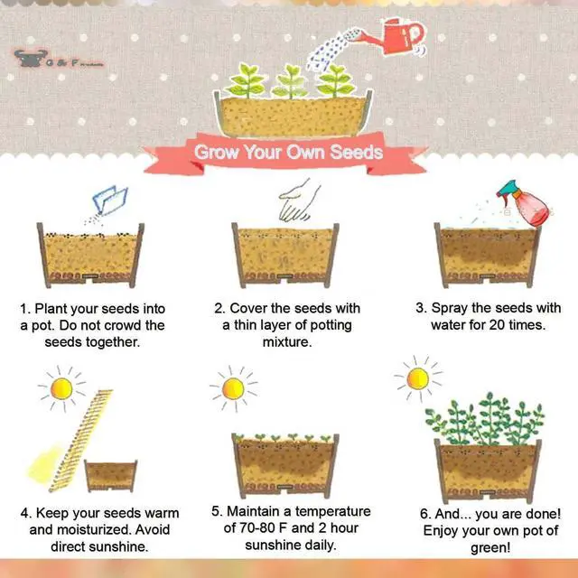 Alt view image 7 of 7 - JustForKids Kids Garden Tool Set Toy, Rake, Spade, Hoe and Leaf Rake, reduced size , made of sturdy steel heads and real wood handle, 4-Piece, Multicolored, 5yr+