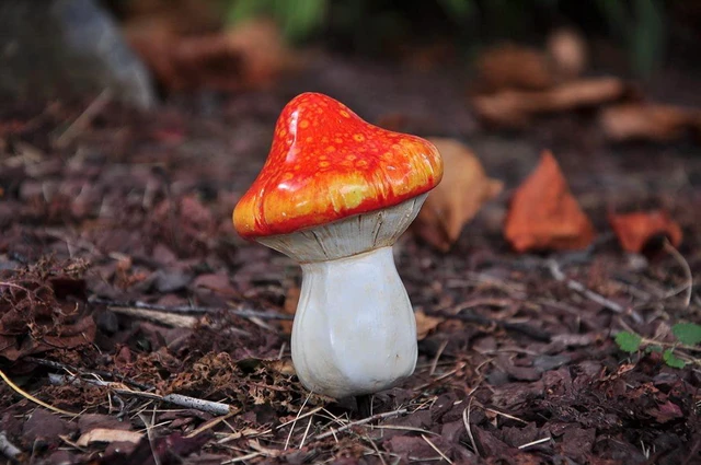 Alt view image 6 of 7 - G & F Products 10042 MiniGardenn Fairy Garden Miniature Life Size Mushroom Statue, Set of 2 with Picks, Orange