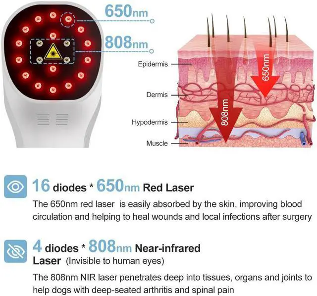 Alt view image 3 of 7 - ZJZK Cold Laser Chiropractor Laser Treatment Near Me 808Nm 650Nm For Cervical Spondylosis Rheumatoid Arthritis Home Portable